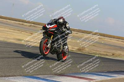 media/Nov-06-2023-Lets Ride (Mon) [[98fce14742]]/A Group/2pm (Wheelie Bump)/